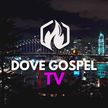 DG:TV kanal logosu