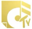 Dizzim TV kanal logosu