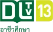 Senderlogo von DLTV 13