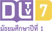 Senderlogo von DLTV 7