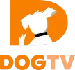 Dog TV kanal logosu