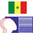 DRTS TV kanal logosu