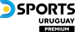 DSports Uruguay Premium channel logo