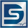 DSTV kanal logosu