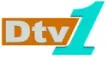 DTV 1 kanal logosu