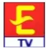E1 TV kanal logosu