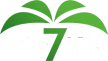 Elche 7 TV channel logo