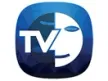 Senderlogo von Erfan Halgheh TV