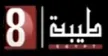 ERTU 8 Teba kanal loqosu