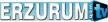 Senderlogo von Erzurum Web TV