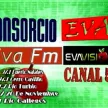 Evavision kanal logosu