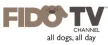 Fido TV kanal logosu