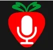 FM Frutillar TV kanal logosu