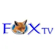 Fox TV kanal logosu