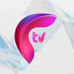 FTV kanal loqosu