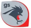 Gallero Soy kanal logosu