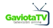 Gaviota TV kanal loqosu