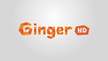 Ginger HD kanal logosu