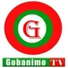 Gobanimo TV kanal loqosu