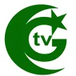 Senderlogo von GTV