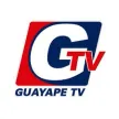 Guayape TV channel logo