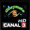 Senderlogo von Guaymate TV
