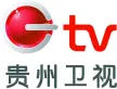 Guizhou TV kanal logosu