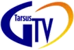 Güney TV Tarsus kanal logosu