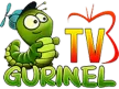Gurinel TV channel logo