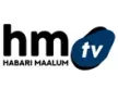 Habari Maalum TV channel logo