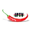 Hangulat TV kanal loqosu