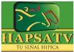 HAPSATV kanal logosu