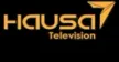 Senderlogo von Hausa 7 TV