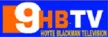 HBTV Channel 9 kanal loqosu