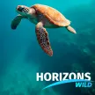Horizons Wild kanal logosu