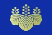 House of Representatives Internet TV kanal logosu