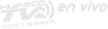 Huasco Television kanal logosu