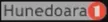 Hunedoara 1 kanal logosu