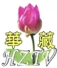 Hwazan Satellite TV kanal logosu