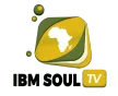 IBM Soul TV kanal loqosu