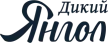 KS TV | Wild angel kanal logosu