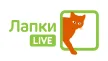 Lapki Live kanal logosu