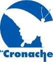 Le Cronache TV kanal logosu