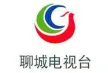 Liaocheng Public Channel kanal logosu