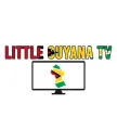 Senderlogo von Little Guyana TV