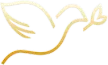 LLBN TV Chinese kanal loqosu