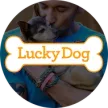 Lucky Dog kanal logosu