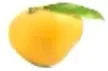 Mango kanal logosu