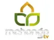 Mchongo TV channel logo