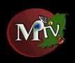 Senderlogo von Meaningful Television